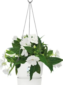 Elho Hängetopf Greenville weiß D 23,9 H 20,3 cm Blumenampeln & Hängetöpfe|Blumentöpfe & Pflanzgefäße