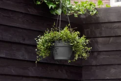 Sale Elho Hängetopf Vibia D 26 H 18 cm anthrazit Blumenampeln & Hängetöpfe|Blumentöpfe & Pflanzgefäße