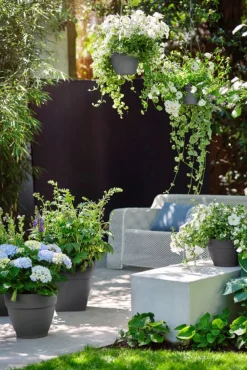 Sale Elho Hängetopf Vibia D 26 H 18 cm anthrazit Blumenampeln & Hängetöpfe|Blumentöpfe & Pflanzgefäße