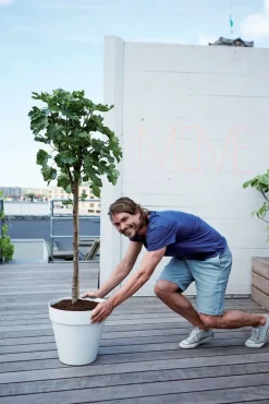 Discount Elho Loft Urban Blumentopf mit Rollen 50 cm weiß Blumentöpfe|Blumentöpfe & Pflanzgefäße