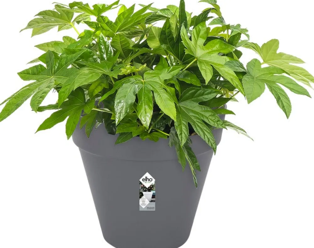 Outlet Elho Loft Urban Blumentopf mit Rollen 50 cm anthrazit Blumentöpfe|Blumentöpfe & Pflanzgefäße