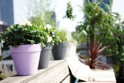 Online Elho Loft Urban Blumentopf rund D 20 cm anthrazit Blumentöpfe|Blumentöpfe & Pflanzgefäße