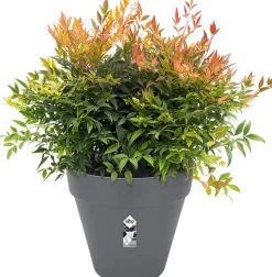 Elho Loft Urban Blumentopf D 25 cm H 22 cm anthrazit Blumentöpfe|Blumentöpfe & Pflanzgefäße