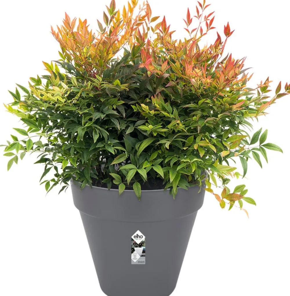 Elho Loft Urban Blumentopf D 25 cm H 22 cm anthrazit Blumentöpfe|Blumentöpfe & Pflanzgefäße