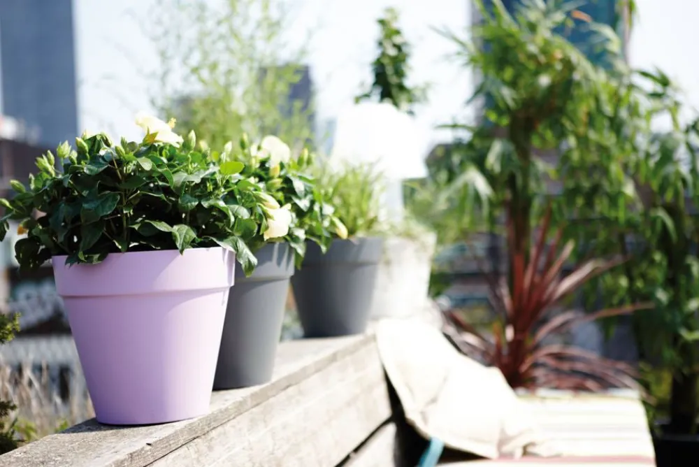 Elho Loft Urban Blumentopf D 25 cm H 22 cm anthrazit Blumentöpfe|Blumentöpfe & Pflanzgefäße