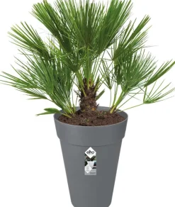 Hot Elho Loft Urban Blumentopf hoch D 28 cm H 38 cm anthrazit Blumentöpfe|Blumentöpfe & Pflanzgefäße