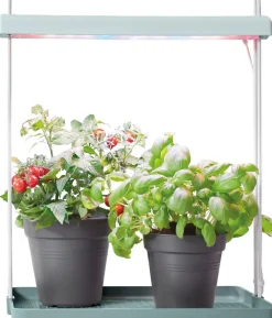 New Elho Pflanzenlampe Light Garden grün 44,3 x 27 x 7,8 cm Pflanzenlampen