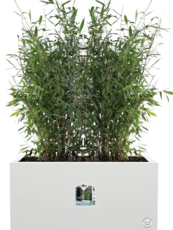 Discount Elho Pflanzkübel Vivo 39 x 78 x 37,5 cm weiß Pflanzkübel|Pflanzkübel & Blumenkübel