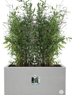 Clearance Elho Pflanzkübel Vivo 39 x 78 x 37,5 cm grau Pflanzkübel|Pflanzkübel & Blumenkübel