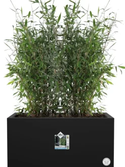 Best Elho Pflanzkübel Vivo 39 x 78 x 37,5 cm schwarz Pflanzkübel|Pflanzkübel & Blumenkübel