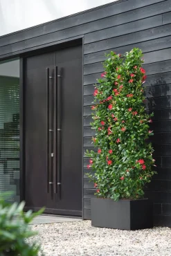 Best Elho Pflanzkübel Vivo 39 x 78 x 37,5 cm schwarz Pflanzkübel|Pflanzkübel & Blumenkübel