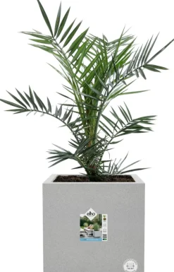 Elho Pflanzkübel Vivo Next 39 x 40 x 38 cm grau Blumentöpfe|Blumentöpfe & Pflanzgefäße