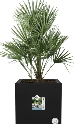 Outlet Elho Pflanzkübel Vivo Next 39 x 40 x 38 cm schwarz Blumentöpfe|Blumentöpfe & Pflanzgefäße