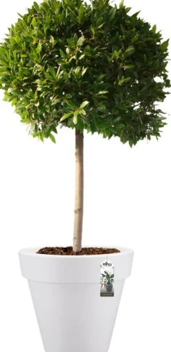 Discount Elho Pure Blumentopf weiß D 40 cm Blumentöpfe|Blumentöpfe & Pflanzgefäße