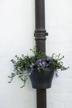 Online Elho Regenrohr-Blumentopf Corsica anthrazit D 24 H 15 cm Blumentöpfe & Pflanzgefäße