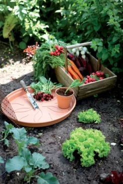 Outlet Elho Untersetzer green basics terracotta D 17 H 2,3 cm Untersetzer