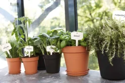 Best Elho Untersetzer green basics D 21,5 H 3,2 cm schwarz Untersetzer