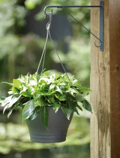 Clearance Elho Wandhaken Eleganz 30 cm anthrazit Haken & Bügel