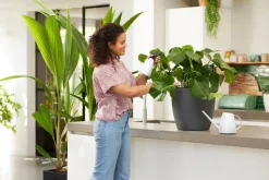 New Elho Pflanzensprüher Brussels weiß 0,7 l 11,5 x 8,9 x 22,9 cm Gießen & Bewässerung|Drucksprüher & Pflanzensprüher