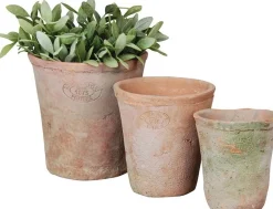 Esschert Design Blumentopf Ted terrakotta D 10 H 11,3 cm Blumentöpfe|Blumentöpfe & Pflanzgefäße