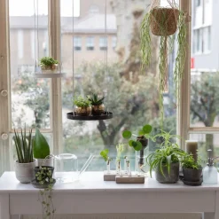 Clearance Esschert Design Gießkanne 1,5 l transparent Gießen & Bewässerung|Gießkannen