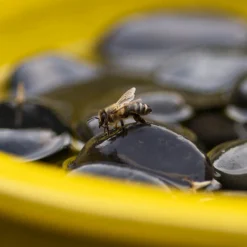 Online Esschert Design Trinkschale für Bienen und Schmetterlinge gelb D 27 H 8 cm Gartenvögel|Insektenhotels