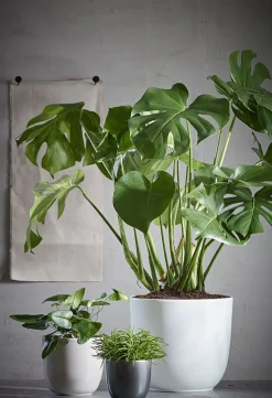 Sale Everydays by Blumentopf D 22,5 cm H 20 cm matt weiß Blumentöpfe & Pflanzgefäße|Blumentöpfe