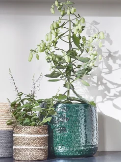 Everydays by Pflanzkorb Celestial weiß D 9,5 H 9,5 cm Pflanzkörbe|Pflanzkörbe