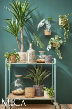 Discount Everydays by Pflanzkorb Atlantic Natur D 14 cm H 14 cm Pflanzkörbe|Pflanzkörbe