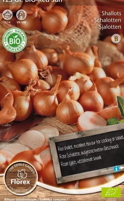 Hot Florex Bio Schalotten (Allium 'Red Sun') Samen 125 g Gemüsesamen|Saatgut