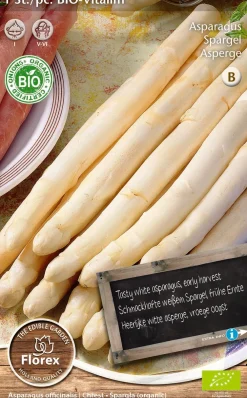 Florex Bio Spargel (Asparagus 'Vegalim') Samen Gemüsesamen|Saatgut