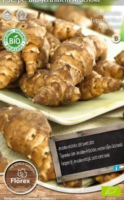 Hot Florex Bio Topinambur (Helianthus 'Jerusalem') Samen Gemüsesamen|Saatgut