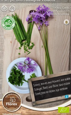 Best Florex Bio Zimmerknoblauch (Tulbaghia violacea) Samen Gemüsesamen|Saatgut