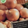 Sale Florex Bio Zwiebel (Allium 'Centurion') Samen 50 St. Gemüsesamen|Saatgut