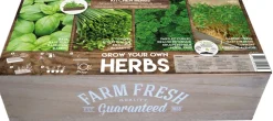 Best Florex Farm Fresh Küchenkräuter Anzucht-Set Kräutersamen|Saatgut