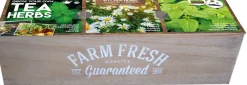 New Florex Farm Fresh Teekräuter Anzucht-Set Kräutersamen|Saatgut