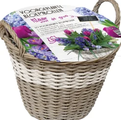 Discount Florex Korb mit 50 Blumenzwiebeln (vorgepflanzt) weiß Blumenzwiebeln Im Topf|Blühende Pflanzen