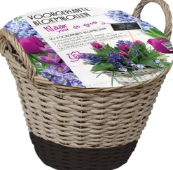 Online Florex Korb mit 50 Blumenzwiebeln (vorgepflanzt) schwarz Blumenzwiebeln Im Topf|Blühende Pflanzen