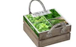 Discount Florex Kräutersamen Box mit 4 Küchenkräutern 18 x 19,5 x 9 cm Kräutersamen|Saatgut