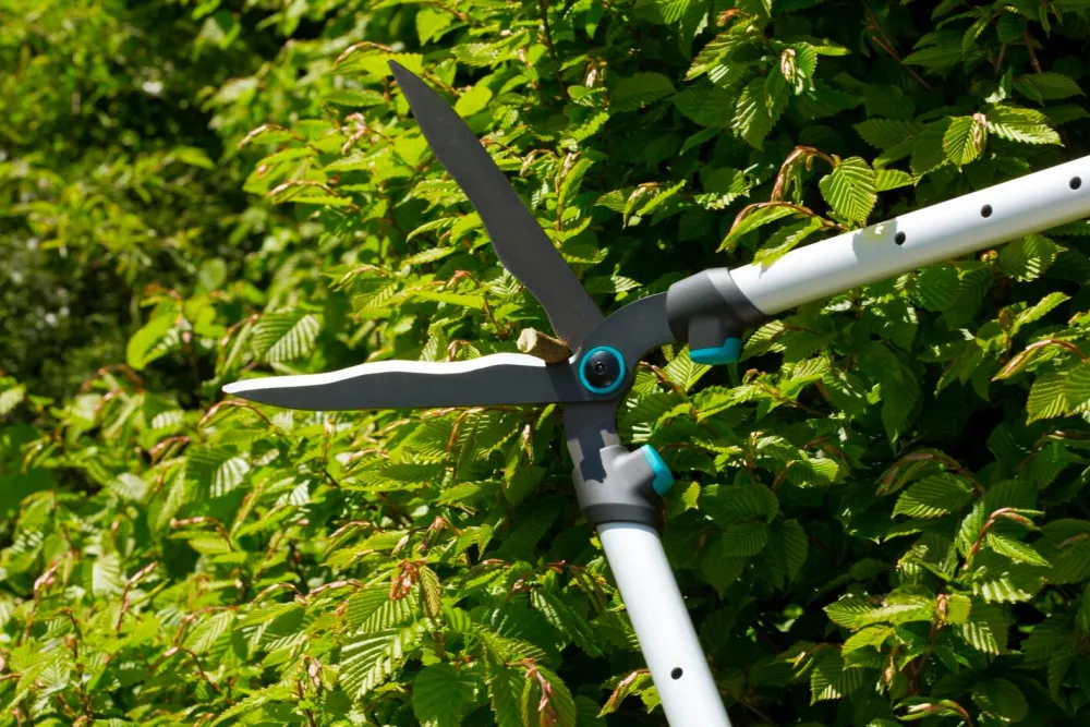Best Gardena Heckenschere TeleCut Heckenscheren|Schneiden & Stutzen