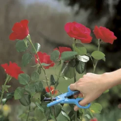 Sale Gardena Multifunktionale Blumenschere Blumenscheren|Schneiden & Stutzen