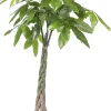 New Geldbaum (Pachira aquatica) D 27 H 150 cm Große Pflanzen|Grünpflanzen