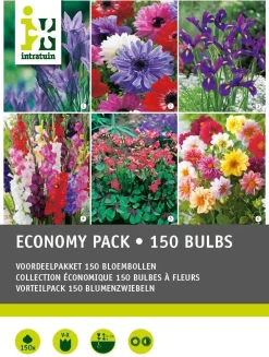 Clearance Großpackung Blumenzwiebeln Mischung 150 St. Sommer-Blüher|Blumenzwiebeln