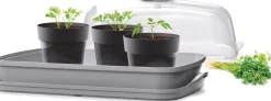 Best Anzuchtkasten mit Deckel grau 39,1 x 25,7 x 18,5 cm Anzuchtkästen & Mini-Gewächshäuser