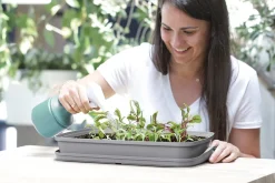 Best Anzuchtkasten mit Deckel grau 39,1 x 25,7 x 18,5 cm Anzuchtkästen & Mini-Gewächshäuser