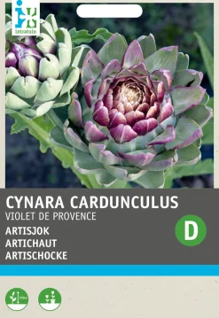 Artischocke (Cynara cardunculus 'Violette de Provence') Samen Gemüsesamen|Saatgut