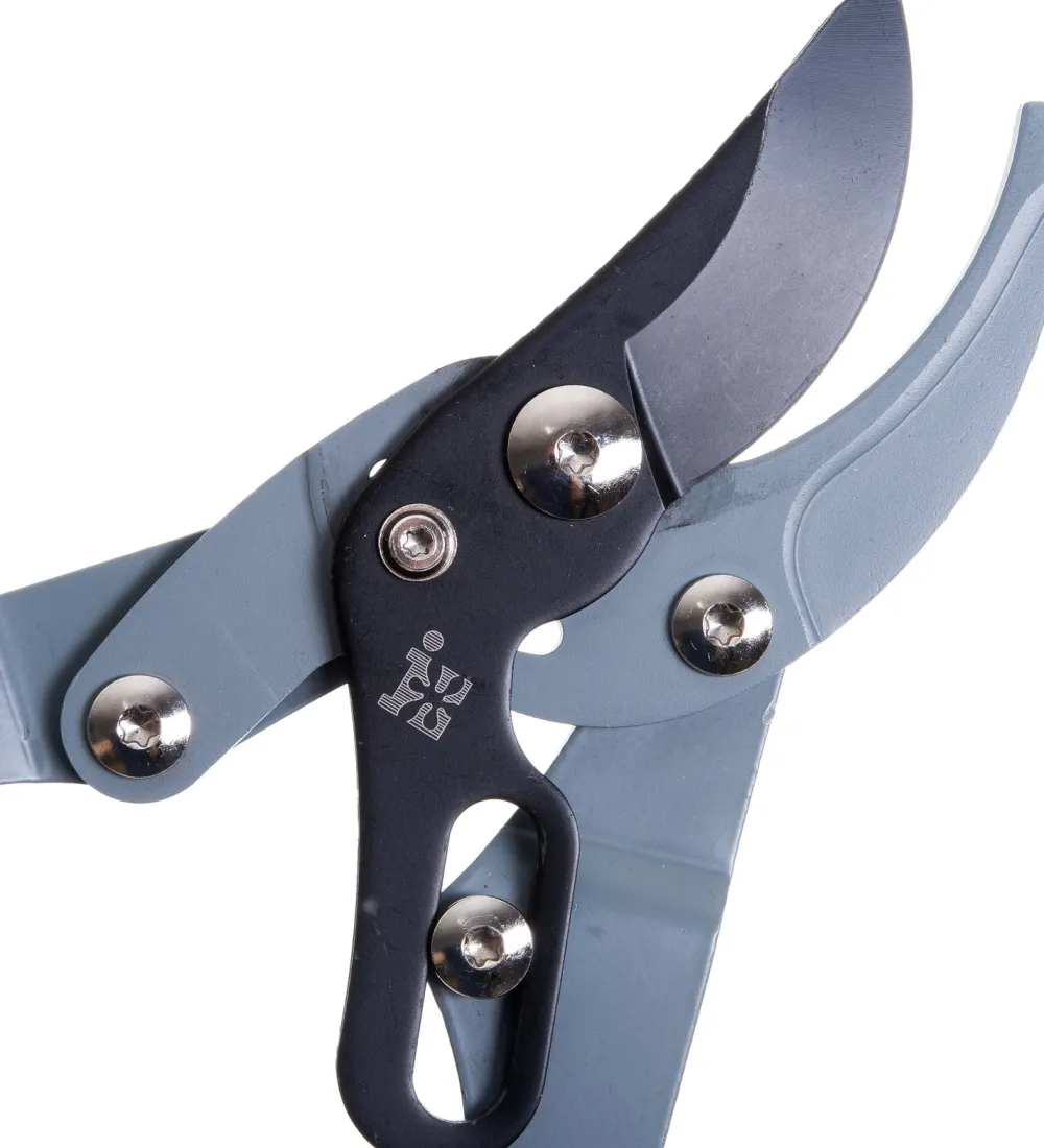 Outlet Astschere verstellbar blau/grau Astscheren|Schneiden & Stutzen