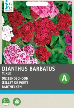 Best Bartnelke (Dianthus chinensis) Blumensamen-Mischung Saatgut|Blühende Pflanzen