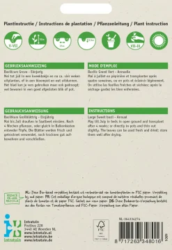 Hot Basilikum großblättrig (Ocimum basilicum) Samen Kräutersamen|Saatgut