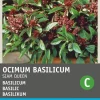 Basilikum (Ocimum basilicum 'Siam Queen') Samen Kräutersamen|Saatgut